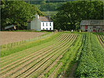 "Shenharra" a fine example of a  Manx farm - (11/6/03) 