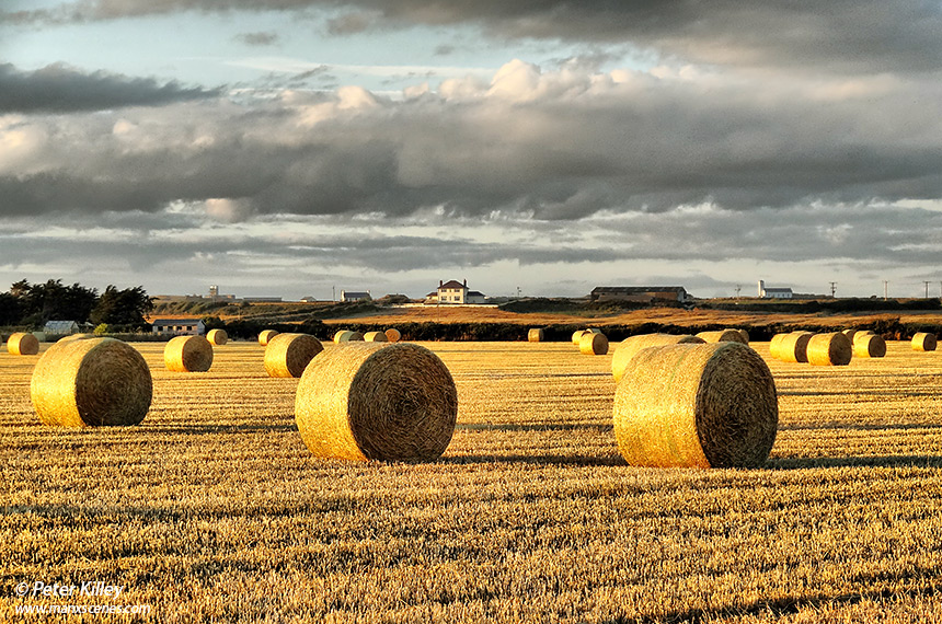 Hay Bales at the Cronk © Peter Killey