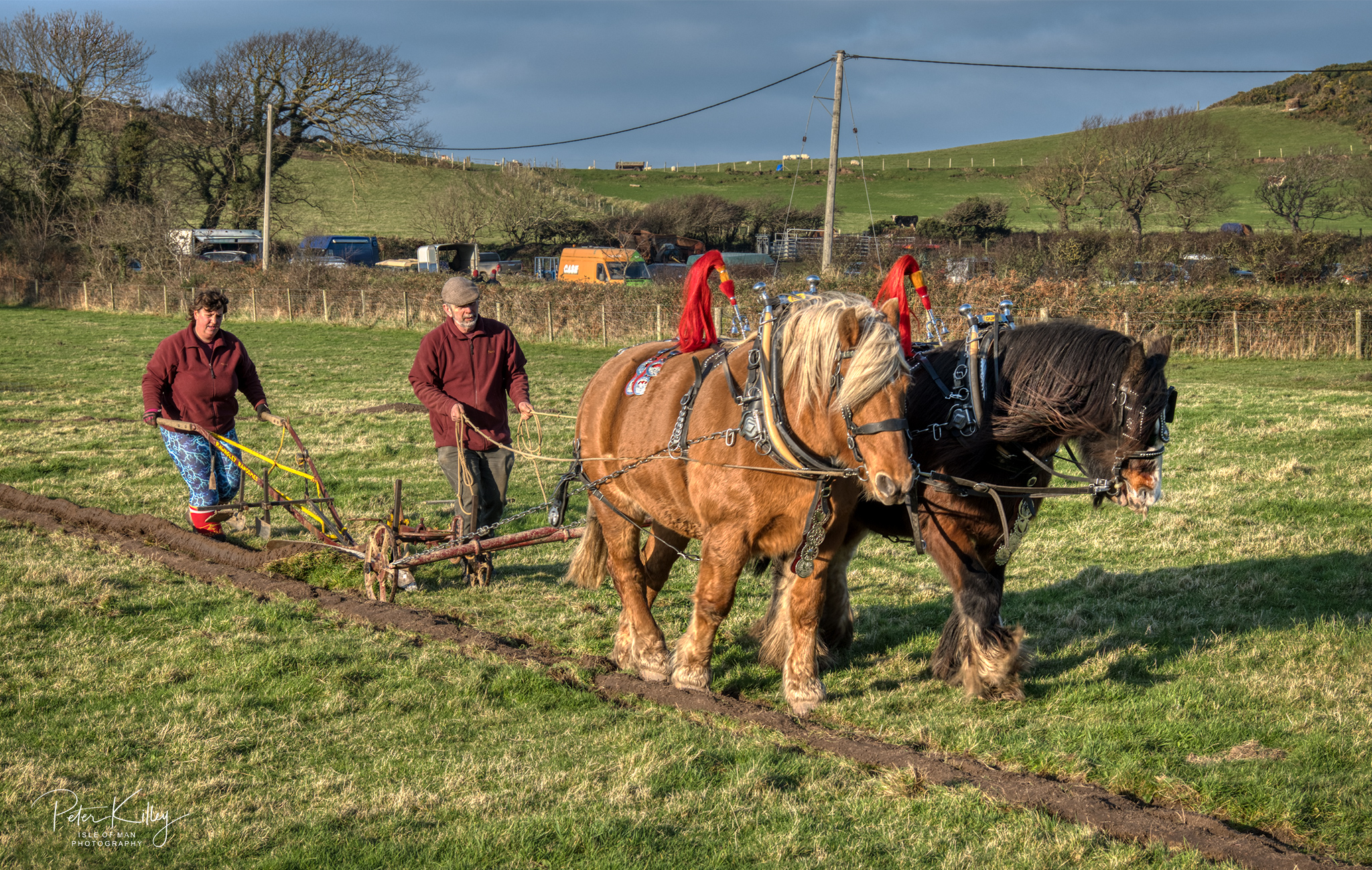 Ploughing old Isle of Man style - © Peter Killey - www.manxscenes.com