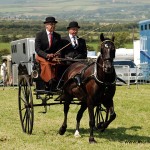 Horse and Trap - Southern Agricultural Show 2011 © Peter Killey