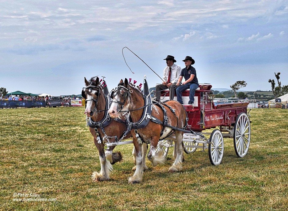Southern Agricultural Show © Peter Killey - www.manxscenes.com