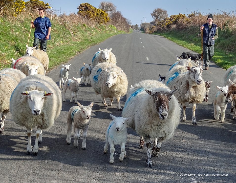 Only in the Isle of Man © Peter Killey - www.manxscenes.com