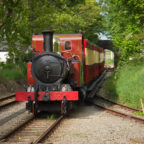 Steam Train Hutchinson - © Peter Killey - www.manxscenes.com