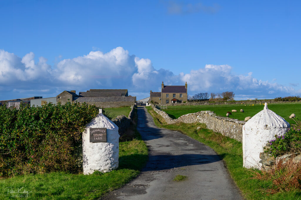 Shenvalley Sound Farm - © Peter Killey - www.manxscenes.com