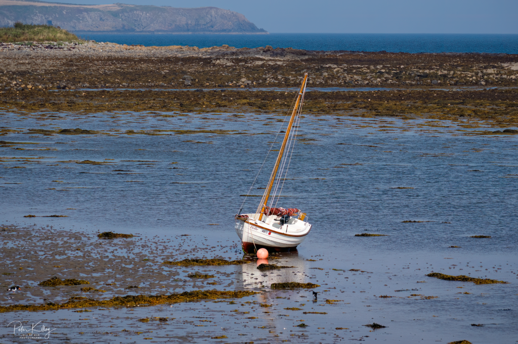 Ronaldsway Trek - © Peter Killey - www.manxscenes.com
