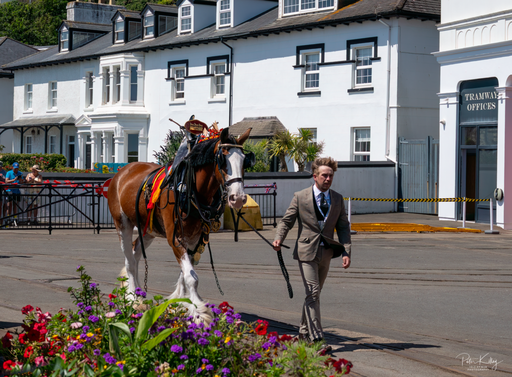 King Charles lll Lord of Mann - © Peter Killey - www.manxscenes.com