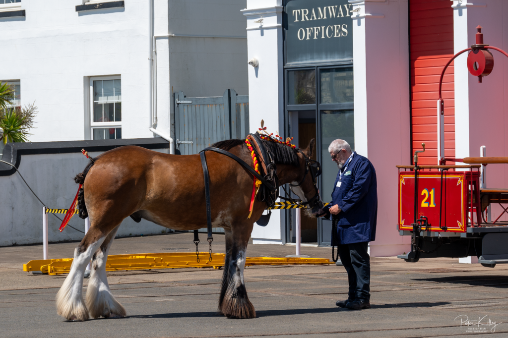 King Charles lll Lord of Mann - © Peter Killey - www.manxscenes.com
