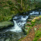 Ballaglas Glen - © Peter Killey - www.manxscenes.com